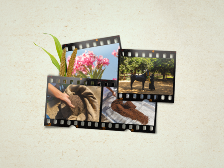 خدمات تسويقية | وزارة البيئة والمياه والزراعة